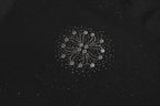 Crystal Studded Horseshoe Black T-Shirt™