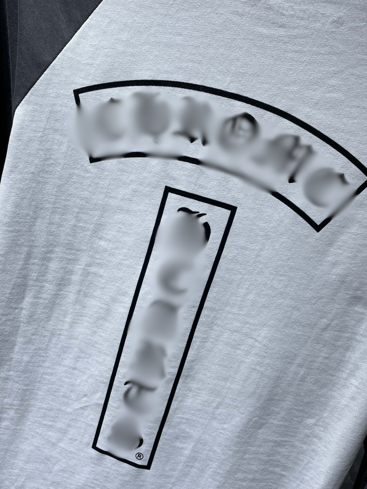 Typography Logo Grey & White Long Sleeve™