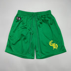 Green Mesh Shorts™