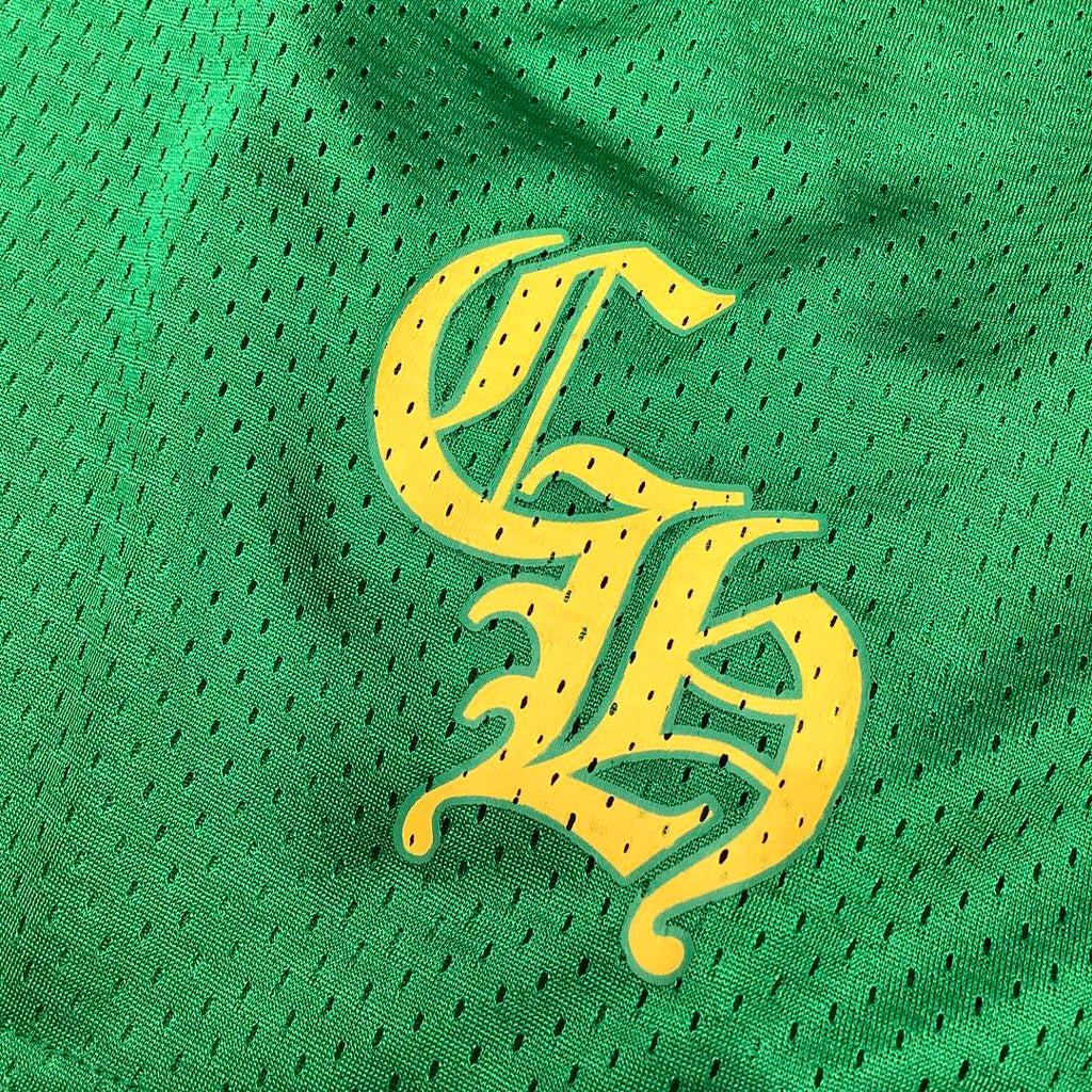 Green Mesh Shorts™